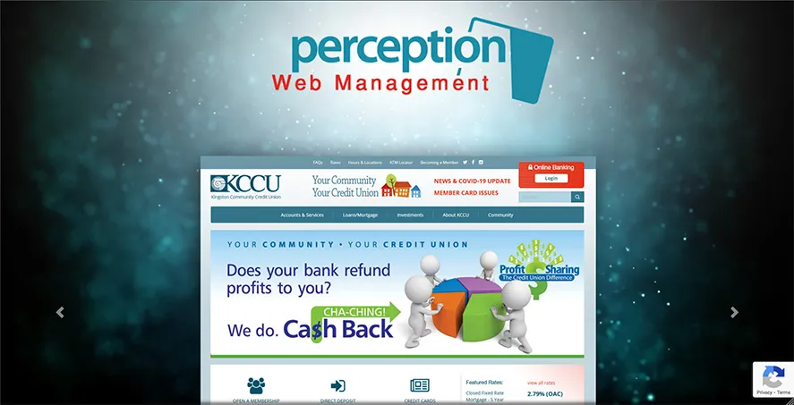 Perception Website