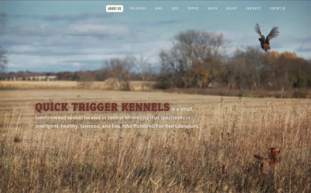 Quick Trigger Kennels